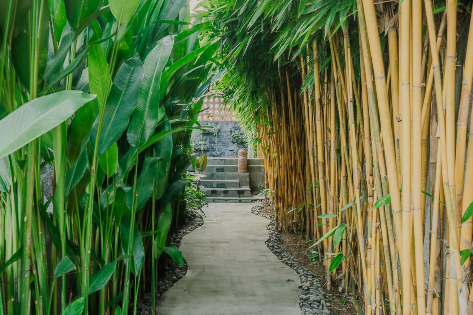 The Kai'Oli - Perfect Home Away From Home Tanah Lot  Exterior photo